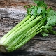  The benefits and harm of stalked celery