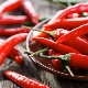  The benefits and harms of capsicum red pepper