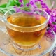  The use of Ivan-tea: how often and how to drink for medicinal purposes?