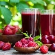  Recipes for raspberry juice