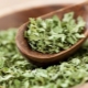  Dried cilantro: what is the name and how to dry it properly?