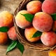  Cooking peach jam for the winter