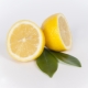  Lemon from cancer: what properties has and how to take?