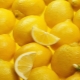  Lemon with a cold: the benefits and harm effective recipes