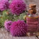  Thistle oil: features and application