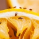  Where do the midges on the fruit come from and how to get rid of them?