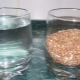  The ratio of cereals and water: what proportions should be observed when cooking different cereals?