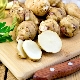  Jerusalem artichoke: the benefits and harm, healing properties and rules of use