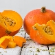  Pumpkin and pumpkin seeds when breastfeeding: the benefits and harm, recommendations for use