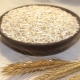  Barley grain: from what cereal do and how to cook?