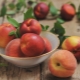  How is nectarine different from peach?