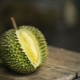  Durian: hasznos tulajdonságok, ellenjavallatok, használati tippek