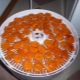  How to dry the fruit in the dryer?