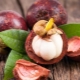  Calorie Benefit and Harm Mangosteen