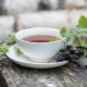  Black currant leaves: medicinal properties and contraindications