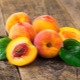  Peach: characteristics, properties and tips on choosing