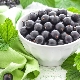  The benefits and harms of black currant during pregnancy