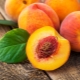  The benefits and harm of peach pits