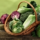  List of cruciferous vegetables