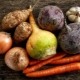  The most delicious and healthy root vegetables