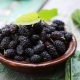  Properties of dried mulberries and tips on their use