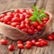  Goji berries: features and application