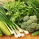  Green vegetables: list of varieties, features, benefits and harm