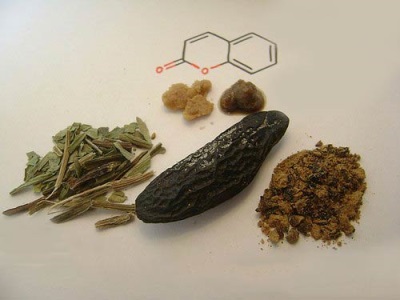  Spice - Tonka Beans