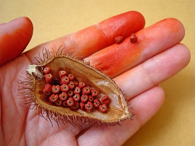  Annatto characteristics