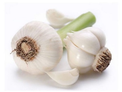  Garlic contains many trace elements