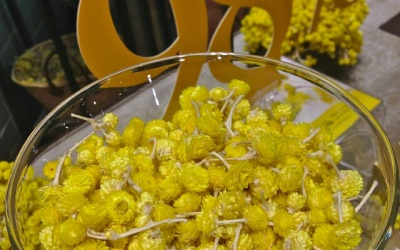  Immortelle as an additive in the dish