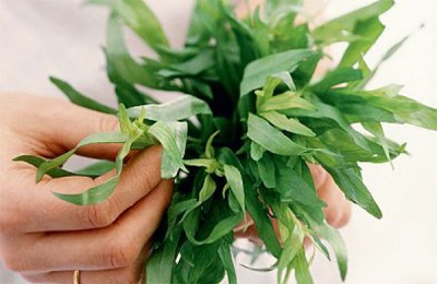  Tarragon with fresh form