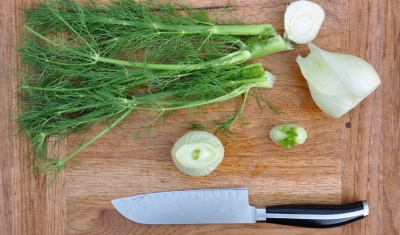  Fennel for healing