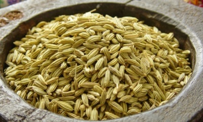  Fennel seeds are used for medicinal purposes.