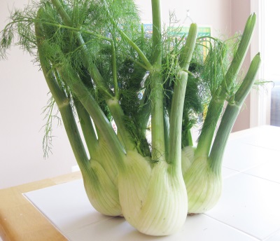  Fennel