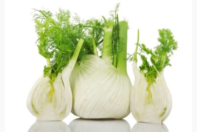  Fennel vitaminokat, nyomelemeket és illóolajokat tartalmaz