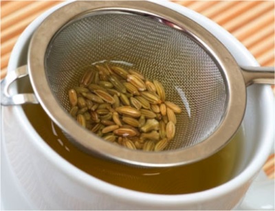  Fennel Broth