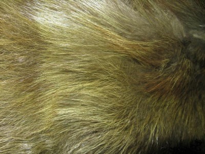  Dyeing Fur