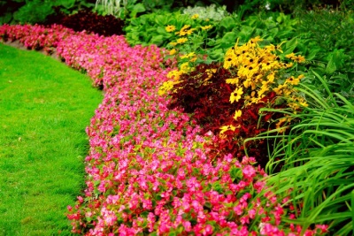  Beautiful flower bed with a gravity