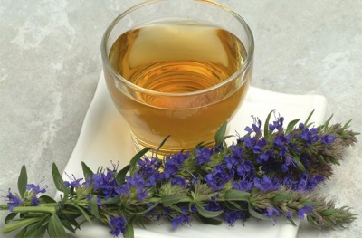  Tea hyssop