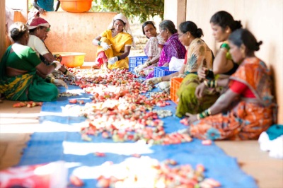  Cashew Sale