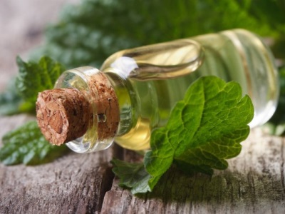  Lemon balm oil