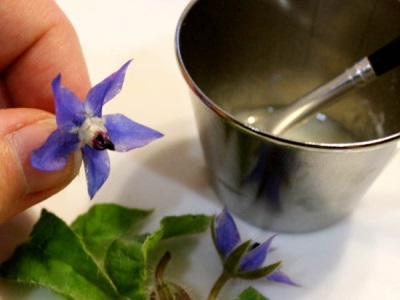  Cucumber herb in cooking