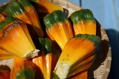  Pandanus Fruit Slices