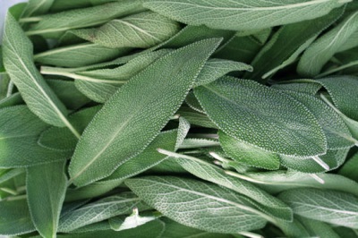  Sage is recommended because of its beneficial properties.