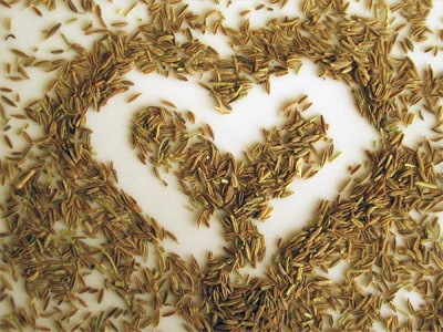  Cumin seeds