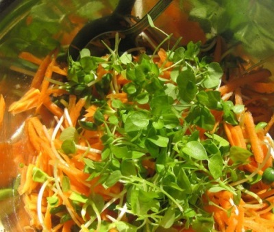  Salad with carrots and starfish