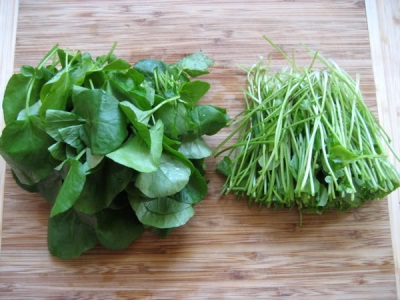  Splitting watercress