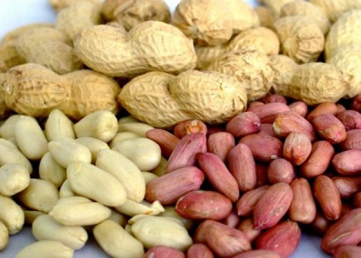  Peanut seeds are produced by planting beans under the ground