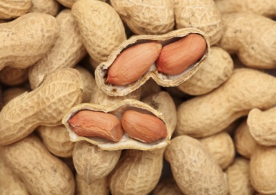  Not only peanut kernels are used in everyday life, but also its straw, shells, husks